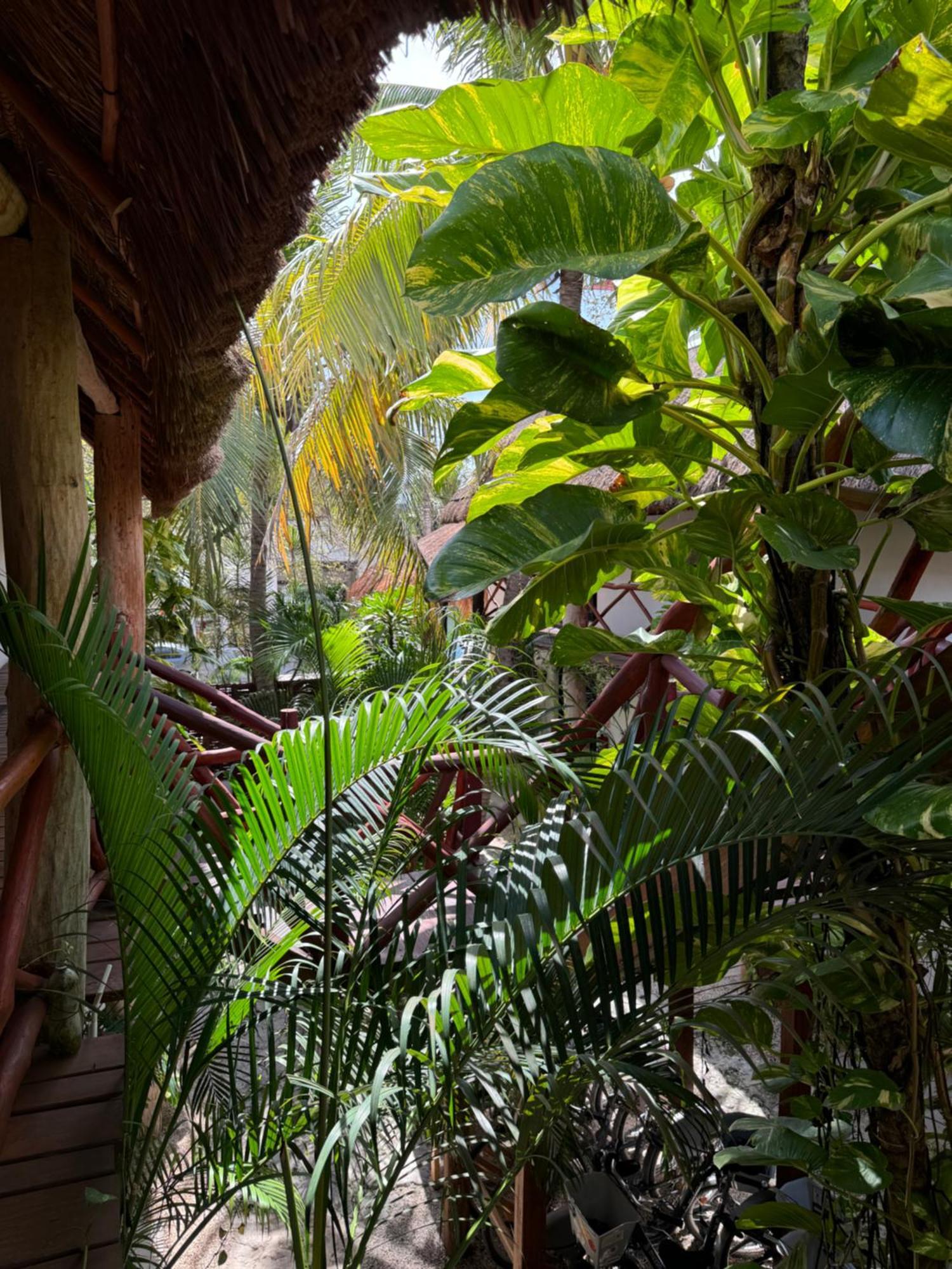 Kin Ha Tulum Hotel المظهر الخارجي الصورة