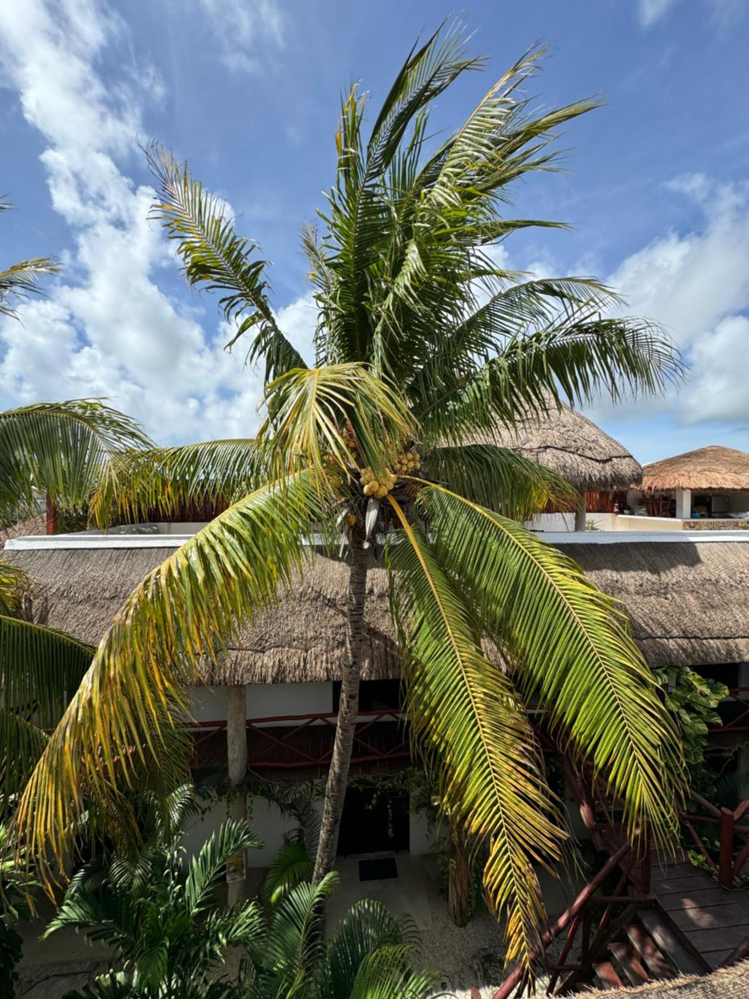 Kin Ha Tulum Hotel المظهر الخارجي الصورة